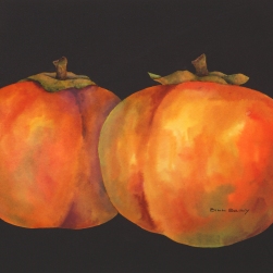  Persimmons III                    watercolor with gold leaf